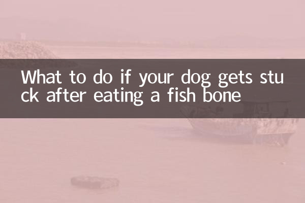 개가 생선 뼈를 먹은 후 갇히면 어떻게 해야 할까요?