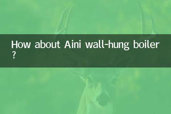 আইনী ওয়াল-হ্যাং বয়লার সম্পর্কে কেমন?