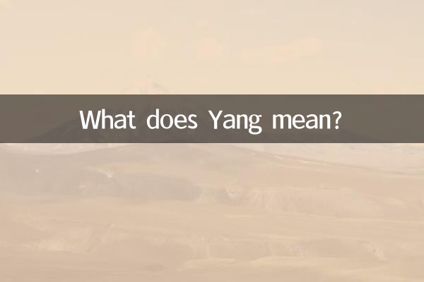 یانگ یعنی چی؟