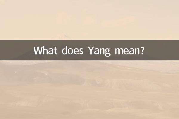 ヤン とはどういう意味ですか?