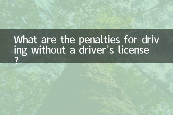 Какие штрафы предусмотрены за вождение без водительских прав?