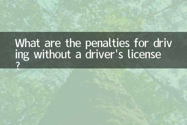 ¿Cuáles son las sanciones por conducir sin licencia de conducir?