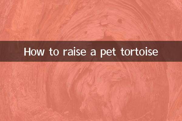 Come allevare una tartaruga da compagnia