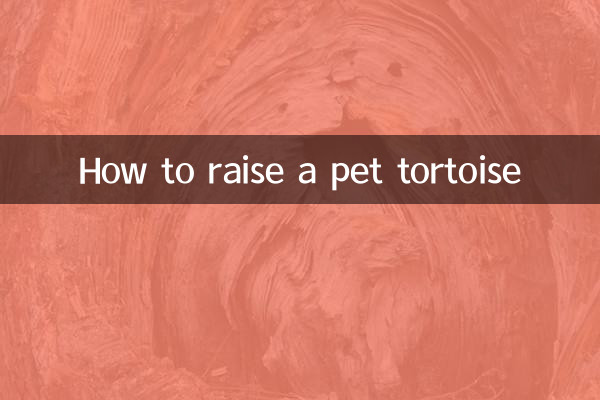 كيفية تربية السلحفاة الأليفة