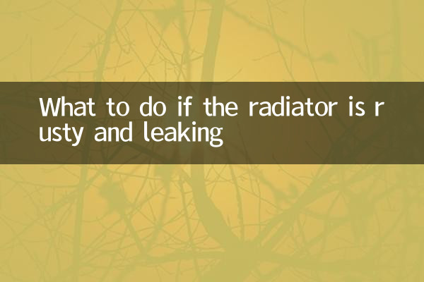 اگر ریڈی ایٹر زنگ آلود اور لیک ہو تو کیا کریں