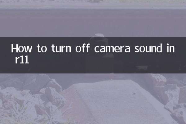 Come disattivare l'audio della fotocamera in r11