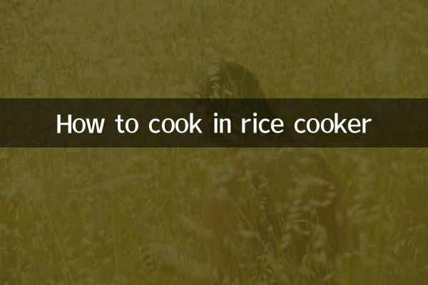 كيف تطبخ في طباخ الأرز