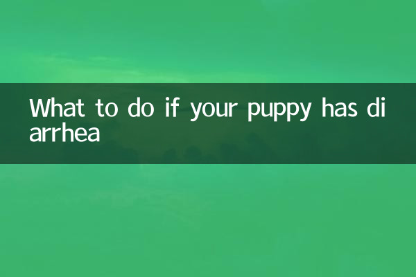 Qué hacer si tu cachorro tiene diarrea