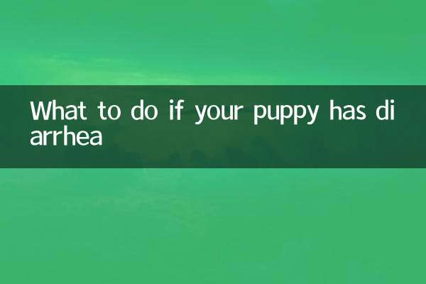 আপনার কুকুরছানা ডায়রিয়া হলে কি করবেন