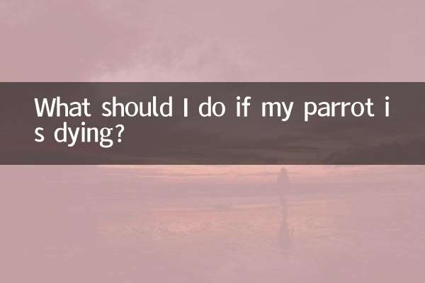 私のオウムが死にそうになったらどうすればいいですか？