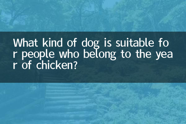چه نوع سگی برای افرادی که متعلق به سال مرغ هستند مناسب است؟