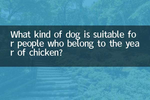 چه نوع سگی برای افرادی که متعلق به سال مرغ هستند مناسب است؟