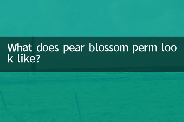 梨花燙是什麼樣子