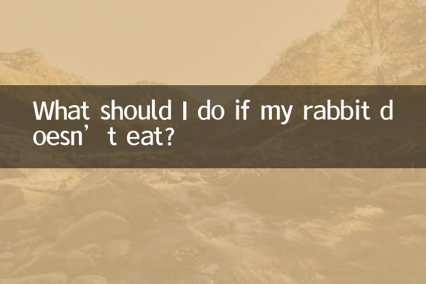 ¿Qué debo hacer si mi conejo no come?