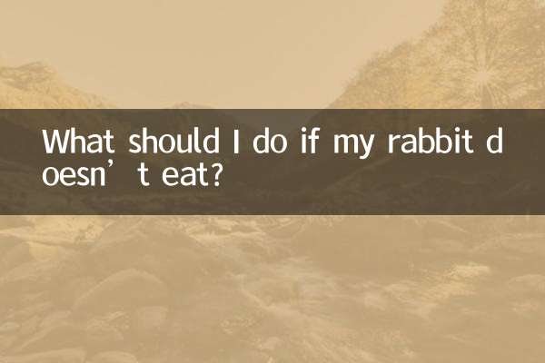 ¿Qué debo hacer si mi conejo no come?