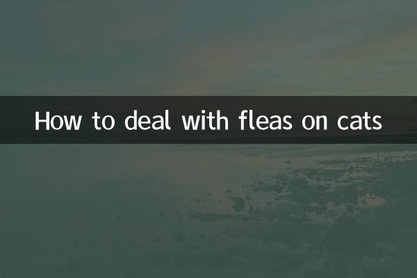 نحوه برخورد با کک روی گربه ها