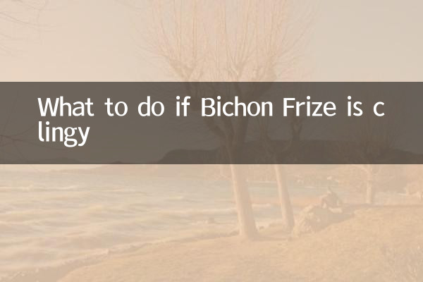 বিচন ফ্রিজ আঁকড়ে থাকলে কী করবেন