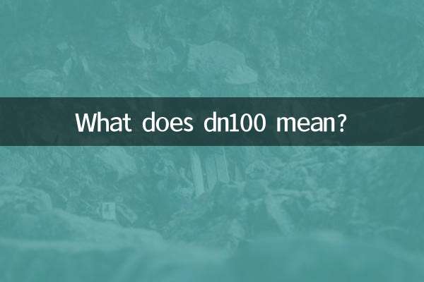 dn100 یعنی چی؟