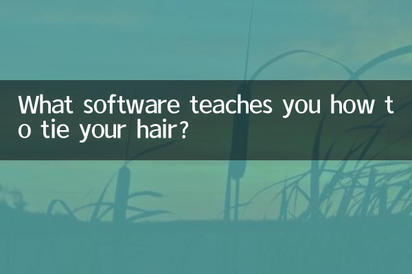 Quel logiciel vous apprend à attacher vos cheveux ?