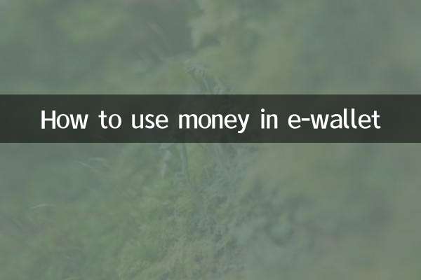 전자지갑에서 돈을 사용하는 방법