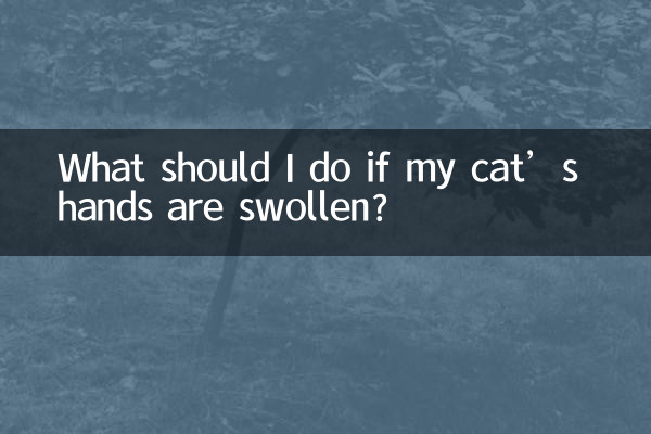 고양이 손이 부어오르면 어떻게 해야 하나요?