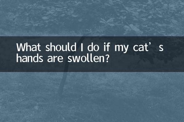 Que dois-je faire si les mains de mon chat sont enflées ?