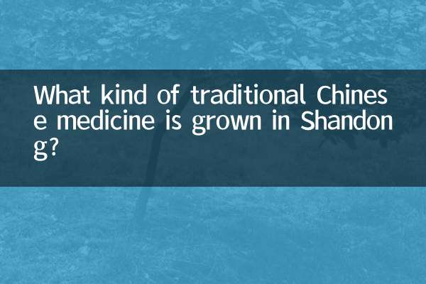 산동에서는 어떤 종류의 한약재가 재배되나요?