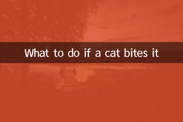猫がそれを噛む場合はどうすればよいですか