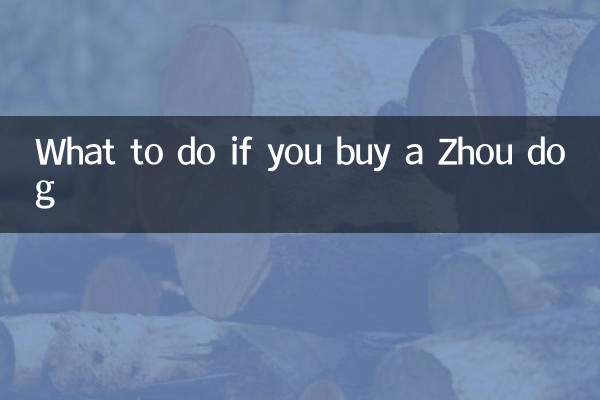 Qué hacer si compras un perro Zhou