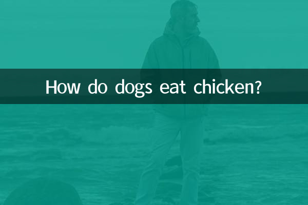 犬はどうやって鶏肉を食べるの？
