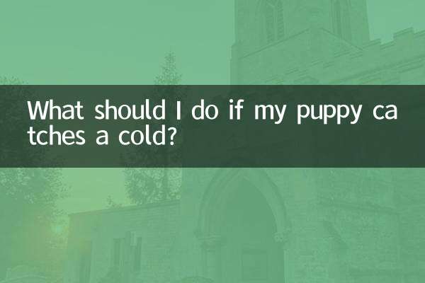 O que devo fazer se meu cachorro pegar um resfriado?