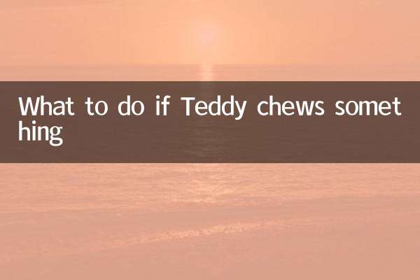 Que faire si Teddy mâche quelque chose