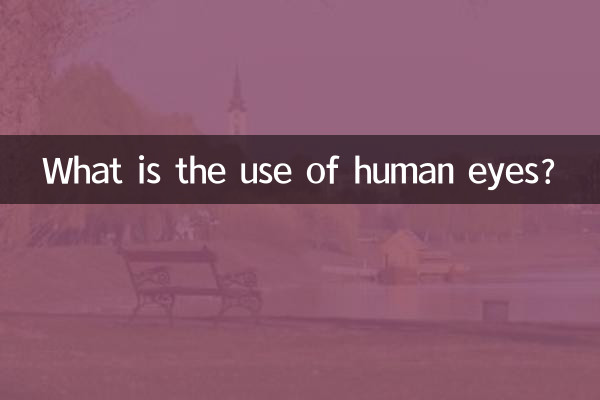人的眼睛有什麼用