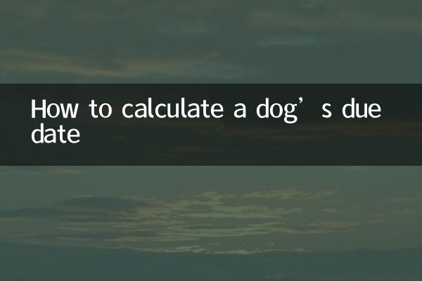 강아지의 출산 예정일을 계산하는 방법