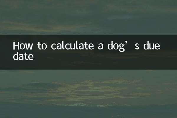 كيفية حساب موعد ولادة الكلب