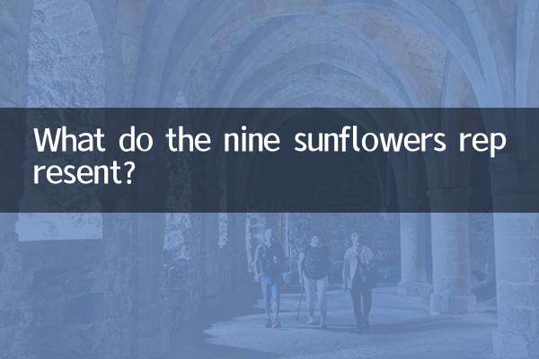 九朵向日葵代表什麼