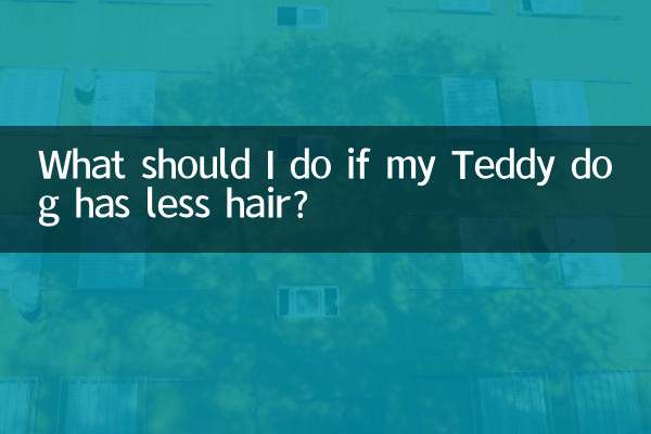 O que devo fazer se meu cachorro Teddy tiver menos cabelo?