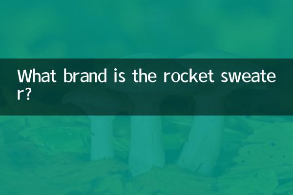 Какой марки свитер-ракета?
