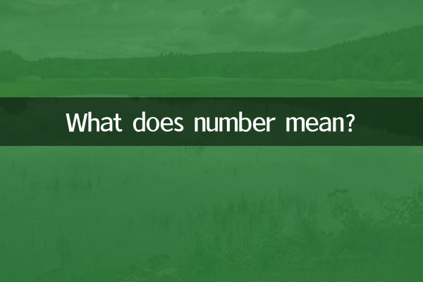 ¿Qué significa número?