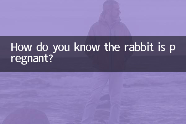 ウサギが妊娠していることはどうやってわかりますか?