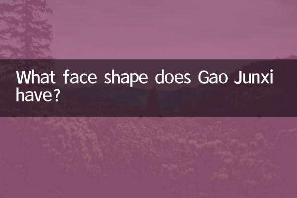 Quelle forme de visage a Gao Junxi ?
