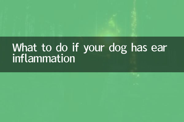 Qué hacer si tu perro tiene inflamación de oído