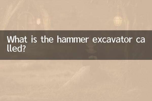 ما هو اسم حفارة المطرقة؟