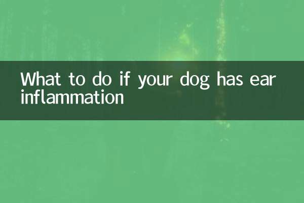 اگر سگ شما التهاب گوش دارد چه باید کرد؟