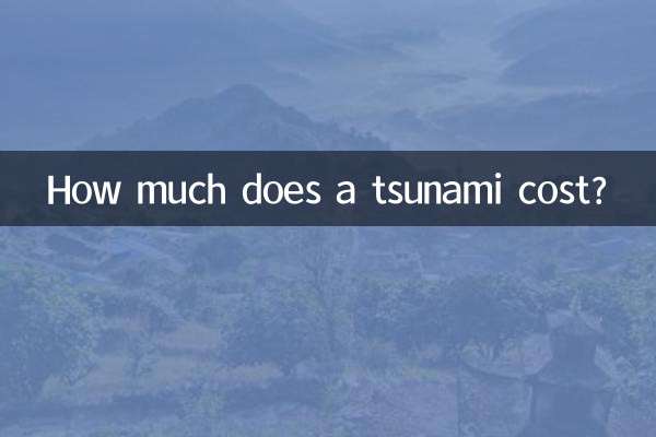 How much does a tsunami cost?