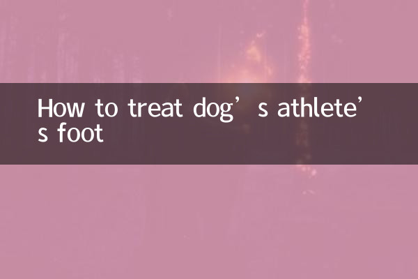 犬の水虫の治し方