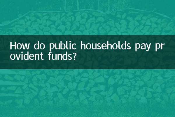 How do public households pay provident funds?