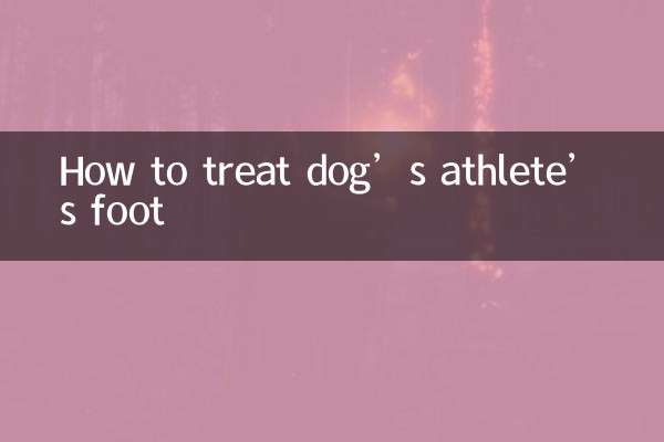 犬の水虫の治し方