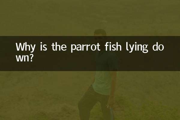 鹦鹉鱼躺着是怎么回事