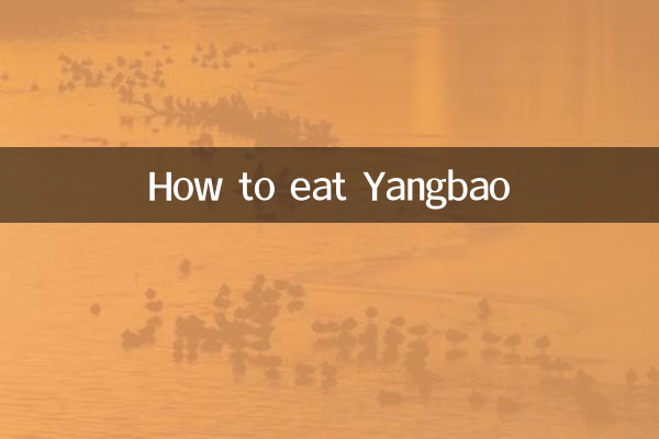 كيف تأكل يانغباو